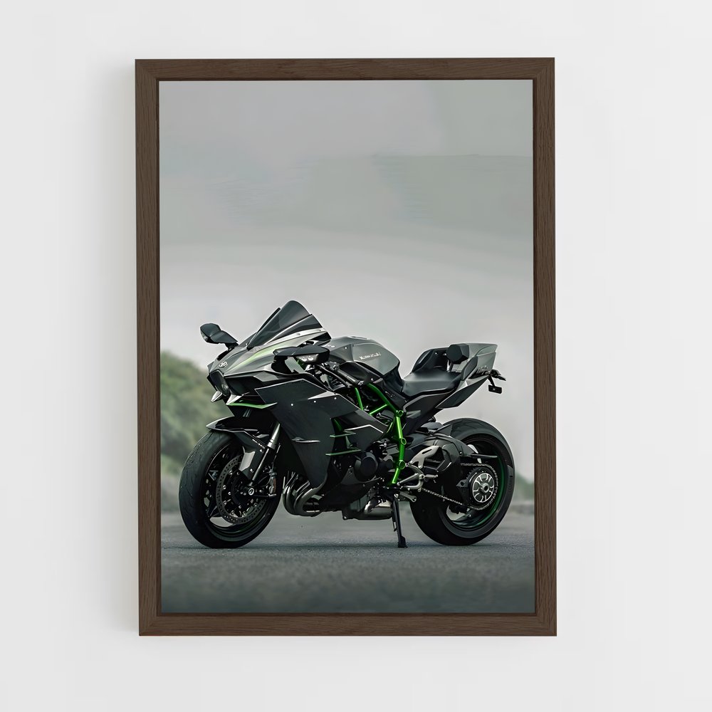 Poster Héros Ninja énigmatique (vue 5)